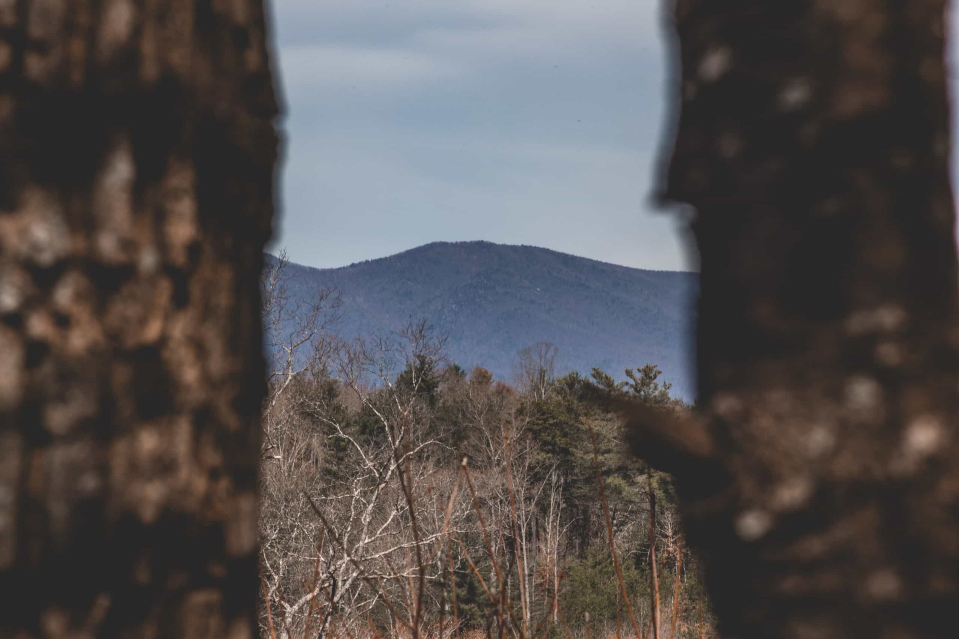 <p>The Brown Mountain lights remain the most famous paranormal phenomenon in the state. Mysterious lights have been reported on or near Brown Mountain in the Pisgah National Forest. Some say they are the spirits of Native American women searching for the souls of men who had perished in battle. </p>