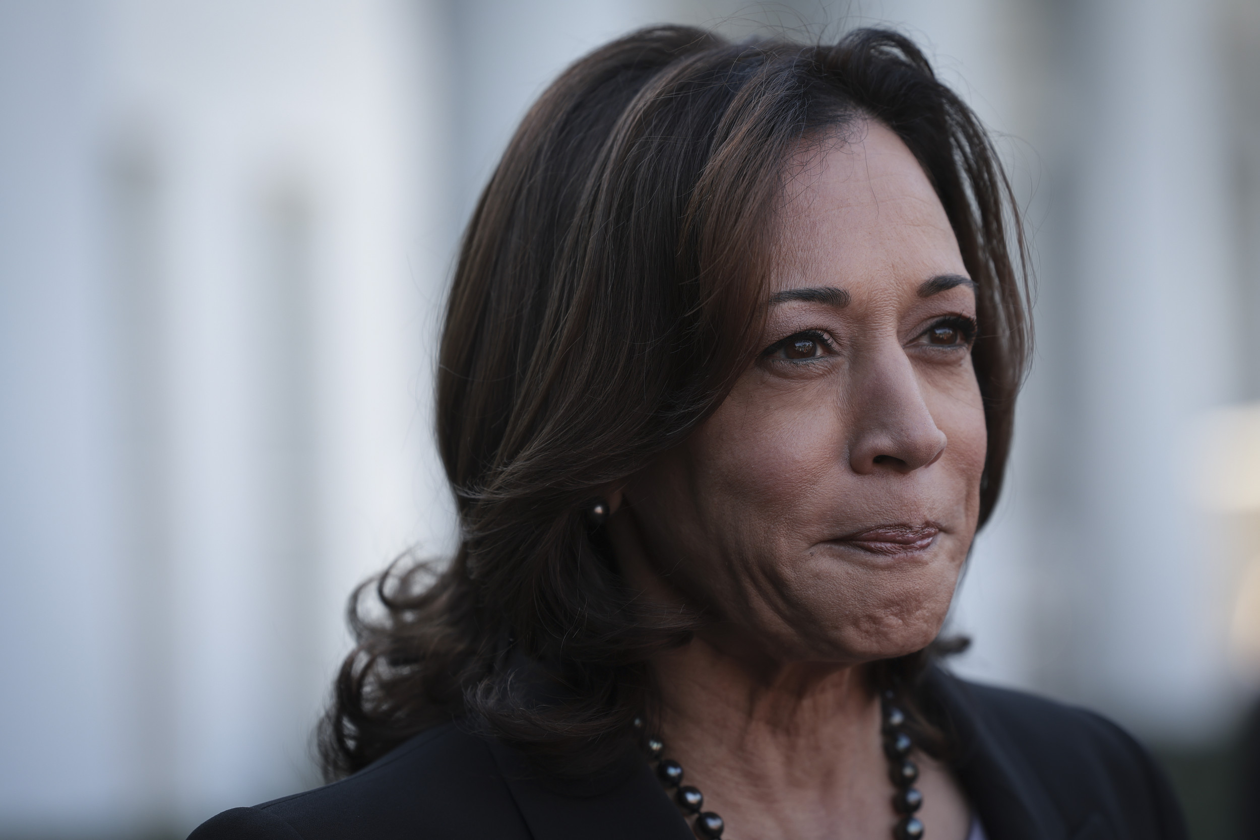 Kamala Harris' Thanksgiving Photo Raises Questions