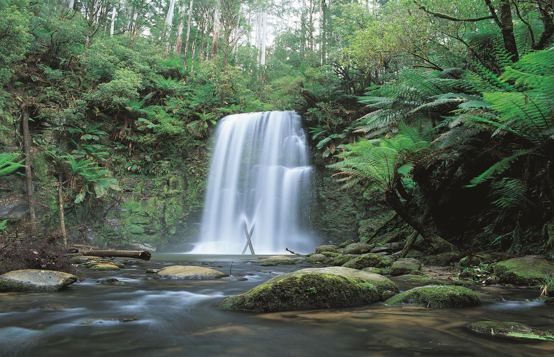 <p>It's not all about the coastline. With its gigantic ferns, towering trees and cascading waterfalls, Great Otway National Park is an enchanting place to explore on the drive. Here you’ll find koalas, wallabies and even glow worms at Melba Gully, a lush temperate rainforest.</p>  <p>If you’re up for a steep but rewarding hike, walk the 1.8 miles (3km) to Beauchamp Falls, a lesser-known 65-foot (20m) watery drop that's tucked away in the forest. </p>