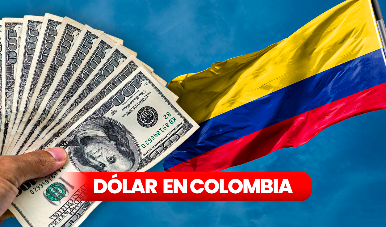 precio del dólar hoy, 24 de noviembre: así va el tipo de cambio en colombia