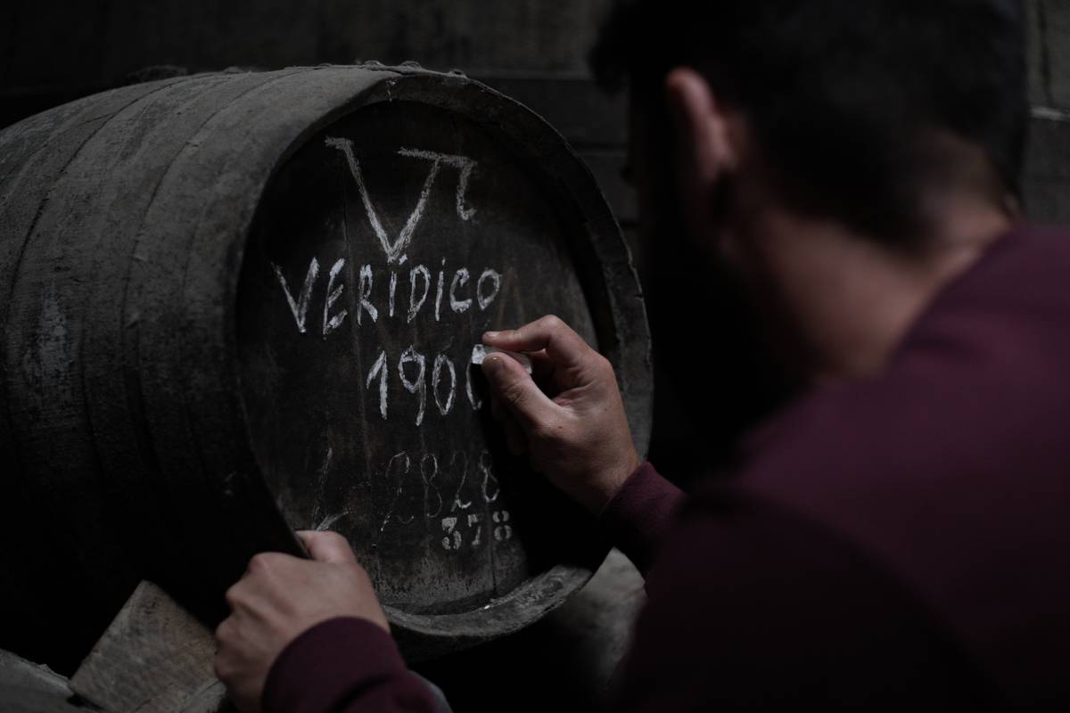 conheça o vinho do porto muito, muito velho que custa €5.900