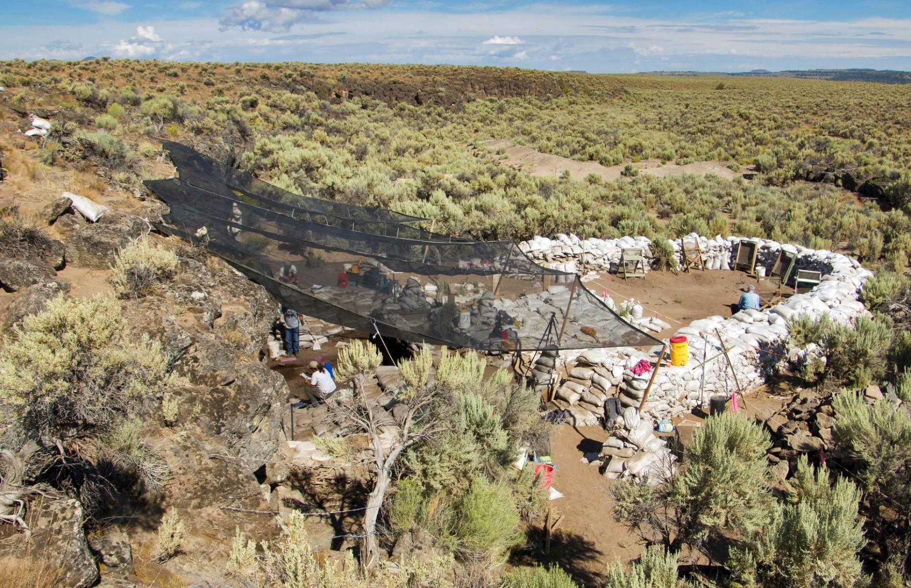 <p>Archaeologists were stunned when they analyzed fragments of camel teeth and stone tools marked with bison blood that they plucked from the soil at Rimrock Draw Rockshelter in Oregon. Radiocarbon dating of the enamel revealed that the teeth date back roughly 18,250 years, and the position of the stone tools in the sediment suggested that they might be even older.</p>  <p>The team excitedly released their results in 2023, and started a debate as to whether the Rimrock Draw site is the oldest evidence of human occupation in western North America.</p>