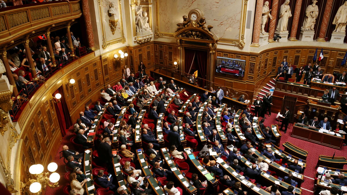 budget 2024 : le sénat augmente (légèrement) la fiscalité pour les français les plus riches