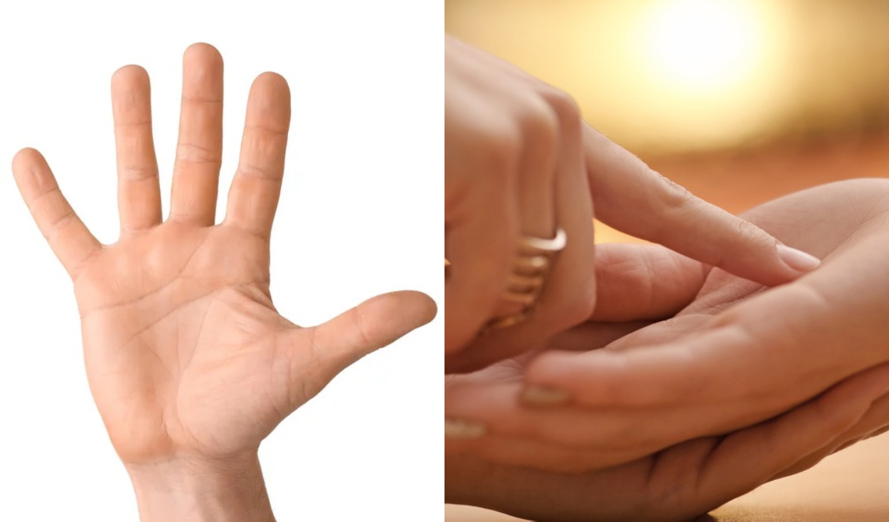 ¿qué significado tienen las líneas de las manos? guía para leerlas de manera sencilla