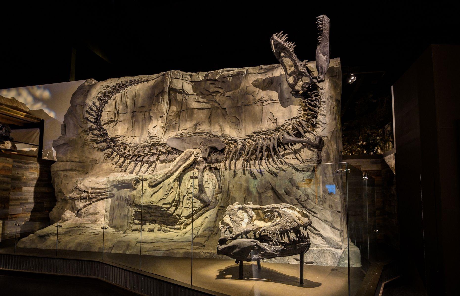 25 of the best dinosaur destinations for budding palaeontologists