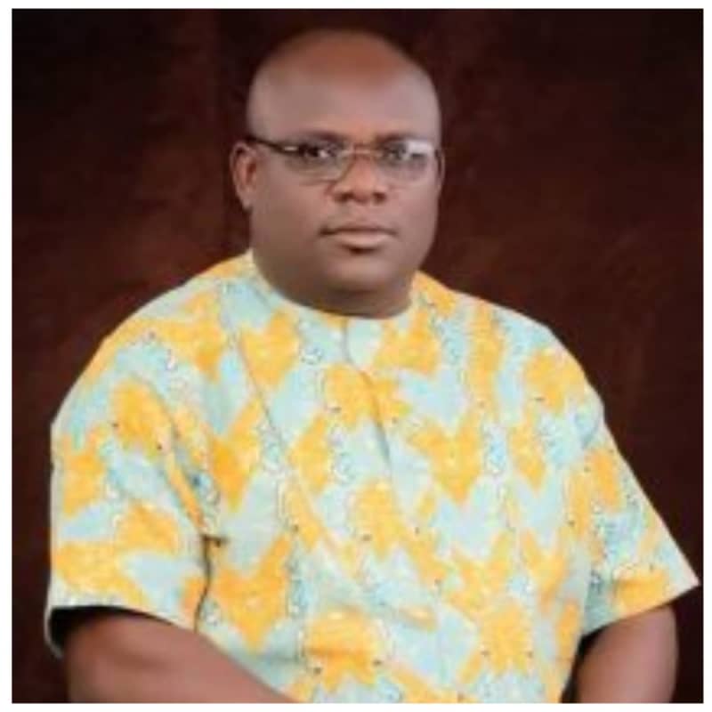 Court Of Appeal Upholds Abia PDP Rep’s Election