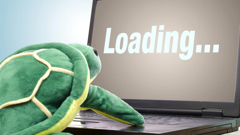 Stuffed turtle staring at a laptop screen that says loading