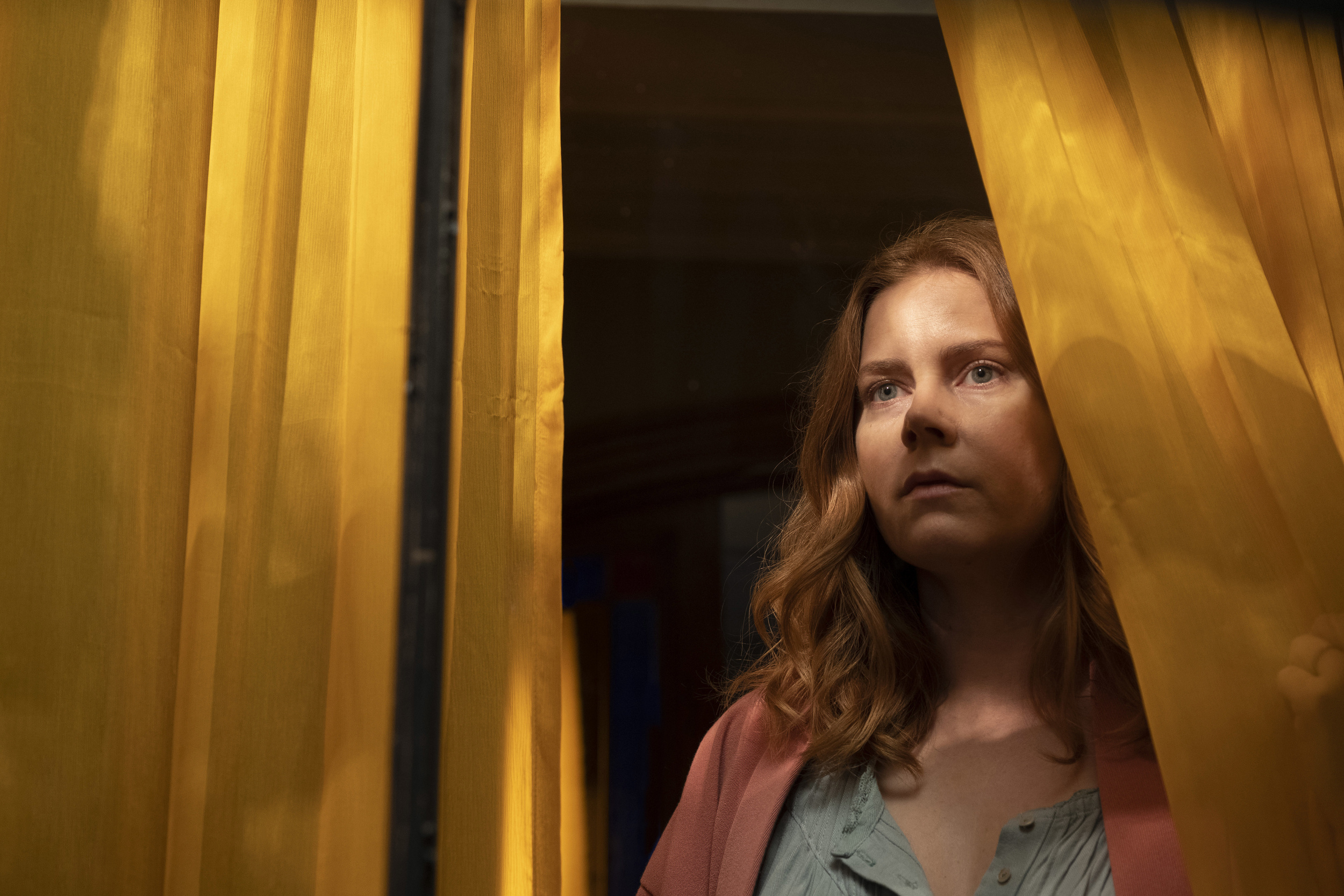 <p>In the wake of thrillers like "Gone Girl" and "The Girl on the Train," we got "The Woman in the Window," a 2018 novel that topped the 'New York Times" bestseller. The movie adaption came to Netflix with Oscar nominee Amy Adams as the lead. And yet, the movie was basically not talked about, and when "The Woman in the Window" did get mentioned it was usually with disparagement.</p><p><a href='https://www.msn.com/en-us/community/channel/vid-cj9pqbr0vn9in2b6ddcd8sfgpfq6x6utp44fssrv6mc2gtybw0us'>Follow us on MSN to see more of our exclusive entertainment content.</a></p>