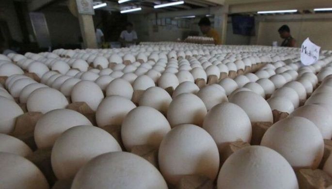 group proposes selling eggs per kilo