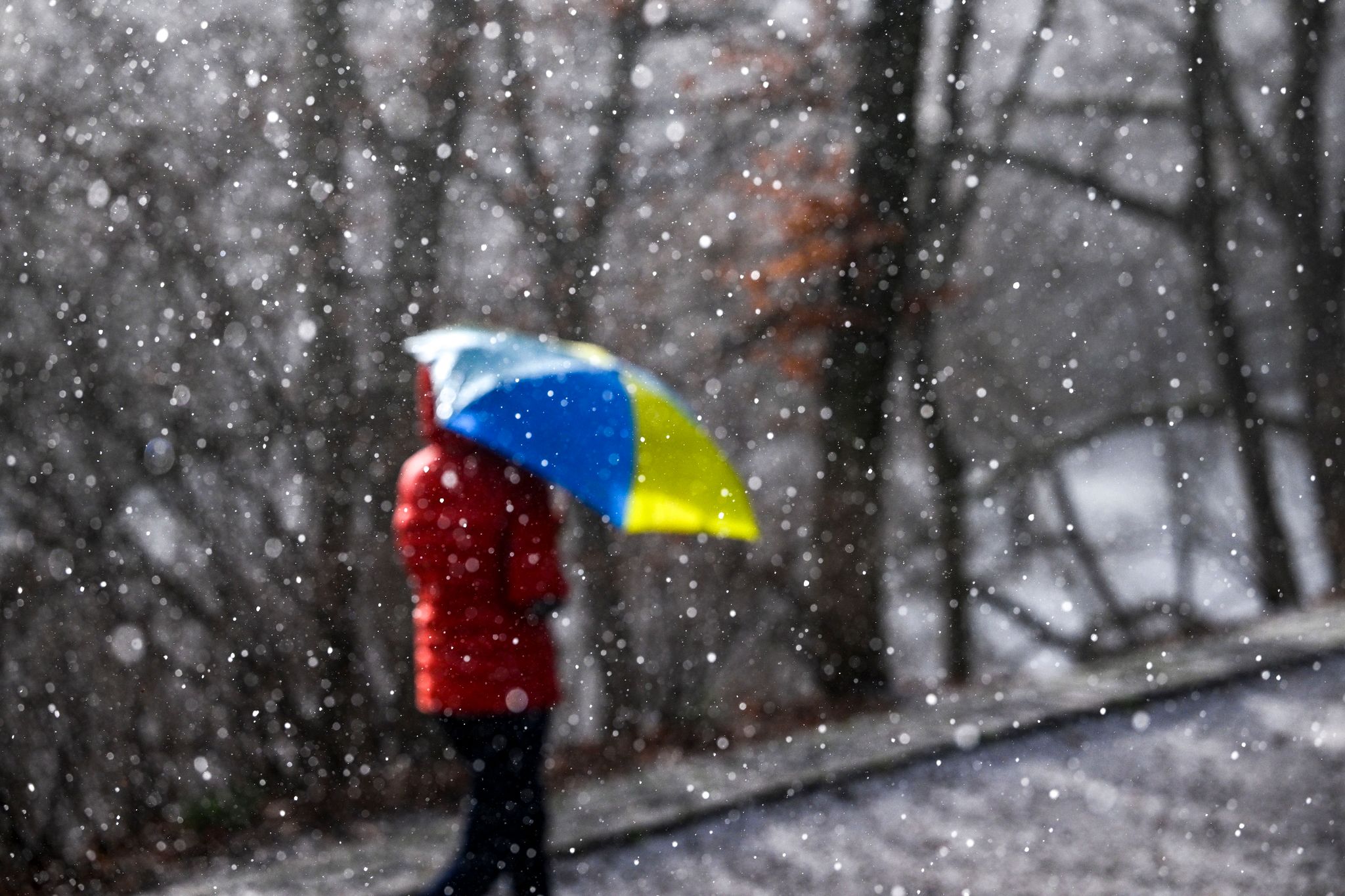 schnee, regen und glätte: winterlicher wochenstart