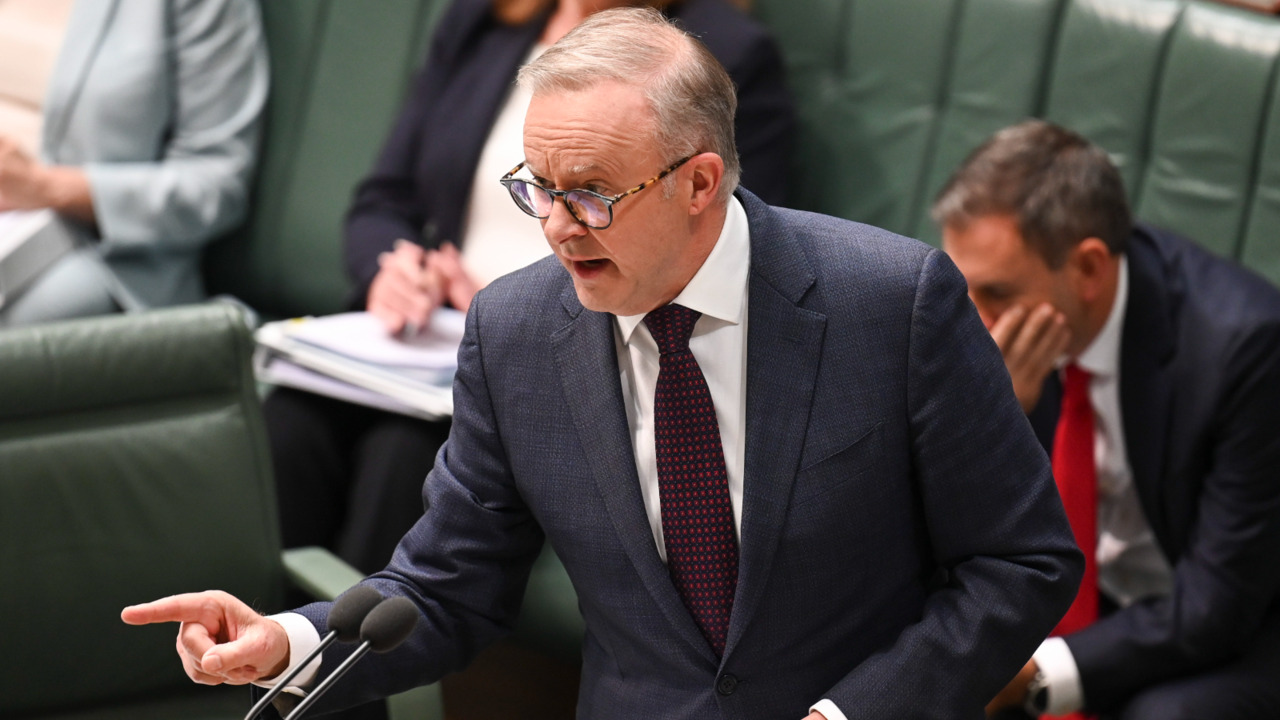 ‘no negotiations’ underway for treaty by federal government: anthony albanese