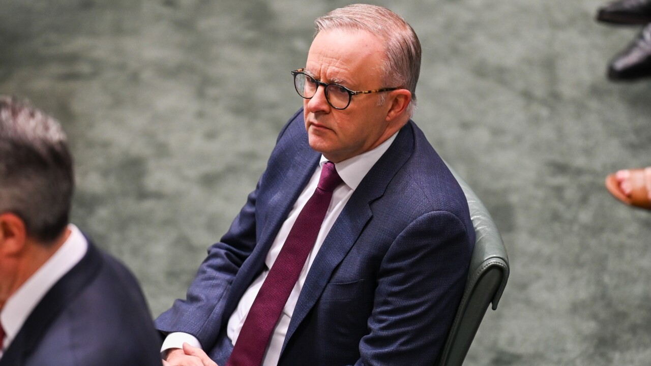 newspoll results show anthony albanese is an ‘incompetent leader’: sharri markson