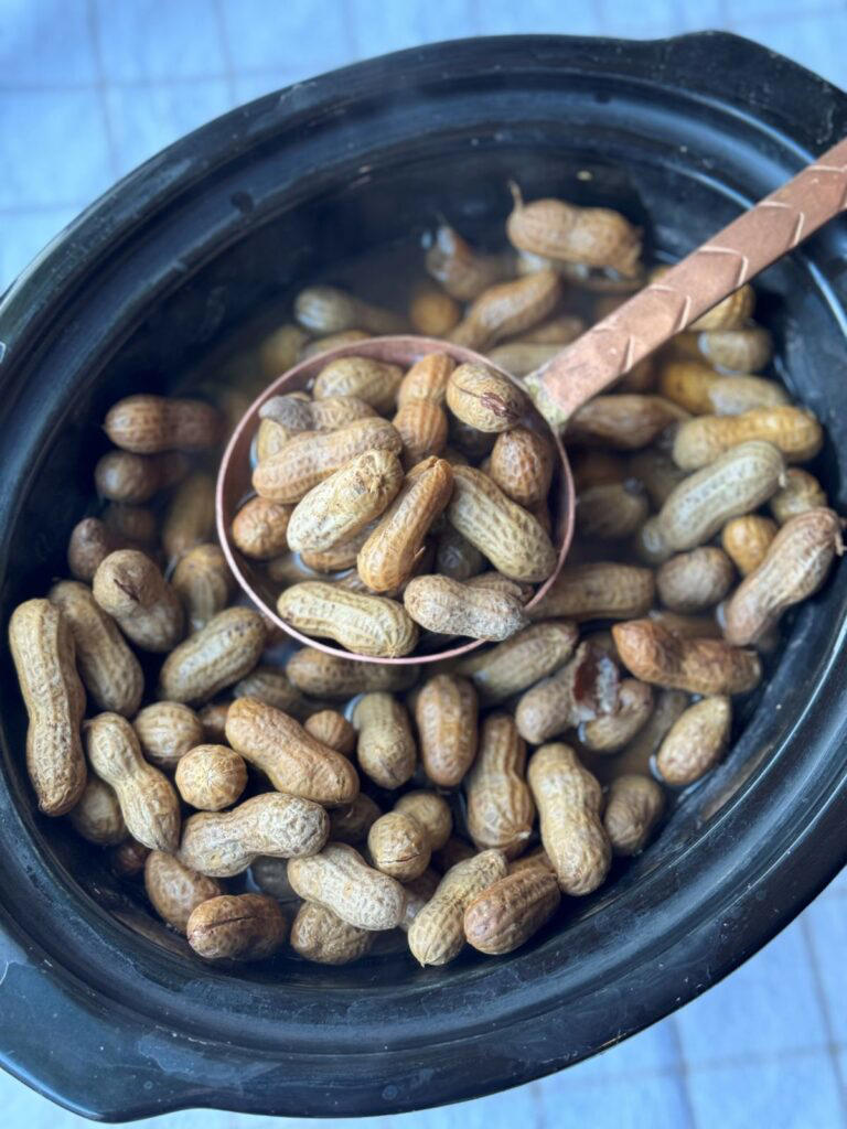 CROCK POT BOILED PEANUTS