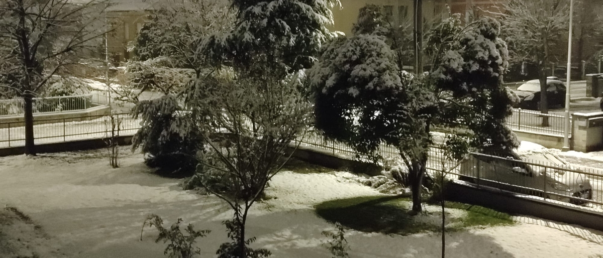 Prima Neve A Bologna, Risveglio Con I Tetti Imbiancati