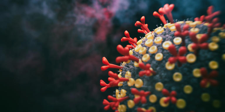 Pirola und Eris sind die Varianten des Corona-Virus, die gerade am häufigsten in Deutschland nachgewiesen werden. Getty Images