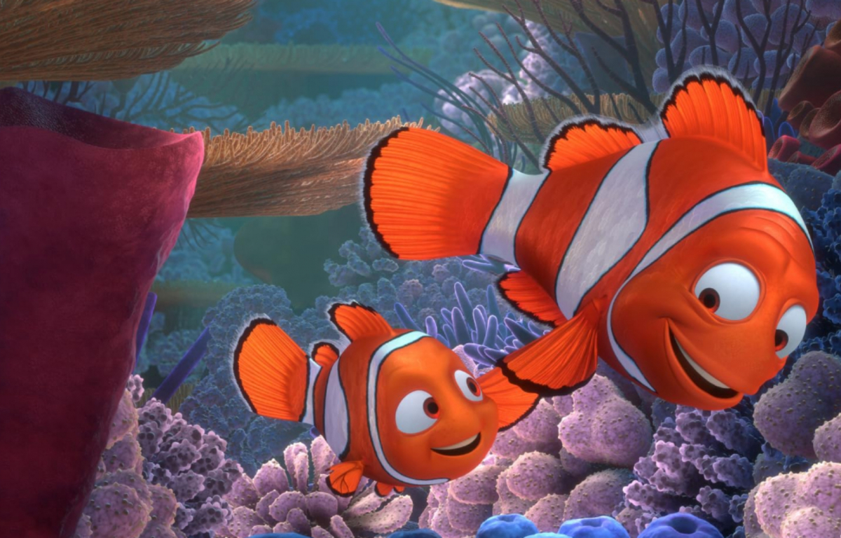 <p>It’s true that at the start of the film, Marlin doesn’t trust Nemo’s ability to deal with the dangers of the sea. However, let’s remember that he was also dealing with the trauma of losing his wife and his other children, and didn’t want to lose him too.</p> <p>However, after his son is taken, he exhibits unwavering dedication and courage as he embarks on a perilous journey to find him. Throughout the adventure, he learns to trust and allow Nemo some independence.</p>