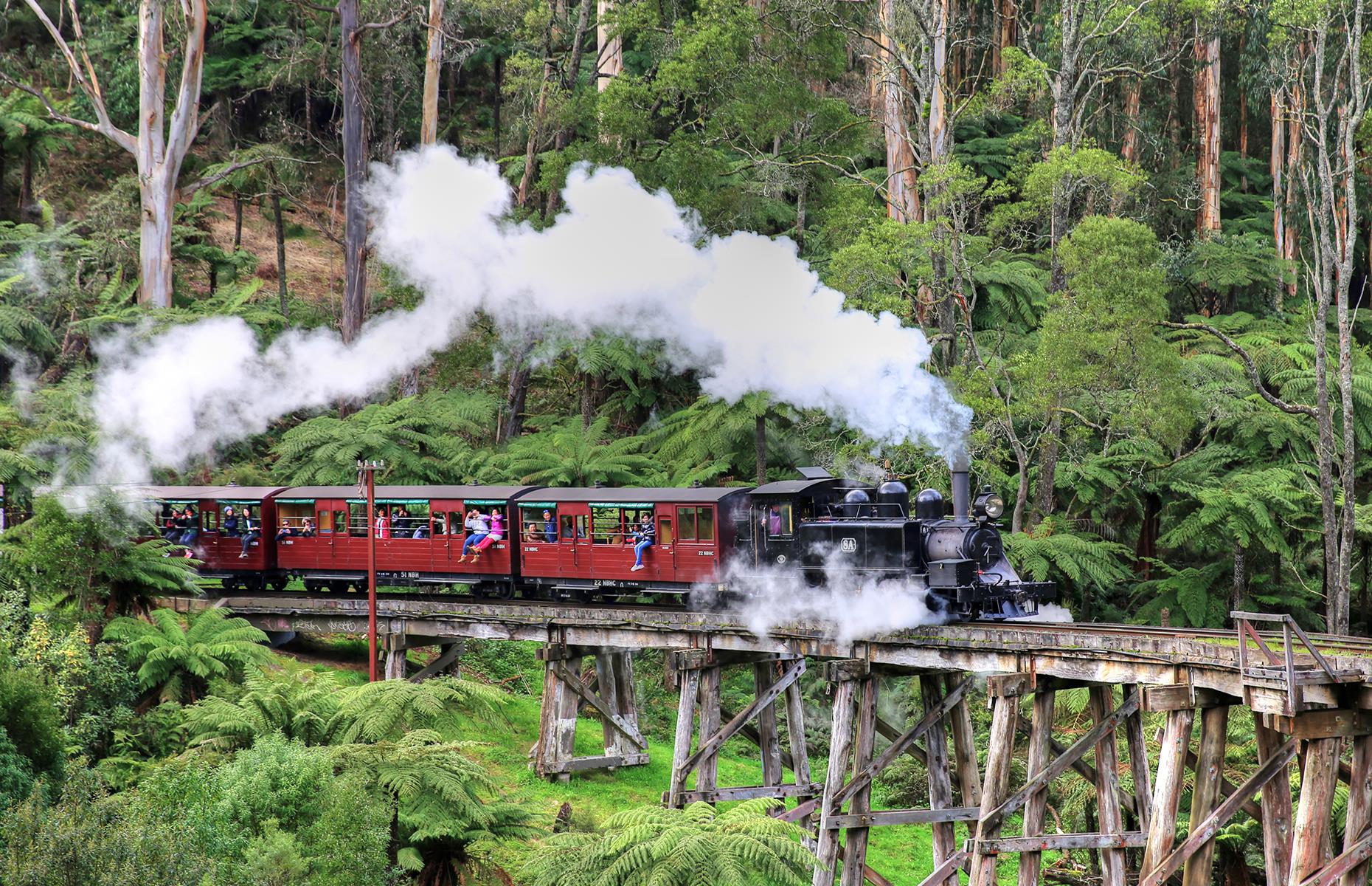 <p>It's also a hugely popular family outing too. The Puffing Billy is famed for its open-side carriages where people can sit on the carriage sills and dangle their legs, all while taking in the views of the hills, forests, lush gullies and the railway's soaring timber trestle bridges. Trains run daily with one train offering a lunch service. Dinner service is available on Fridays and Saturdays – it's advised to book well in advance. The railway also has doggy specials known as the Puffing Billy Dog Express.</p>