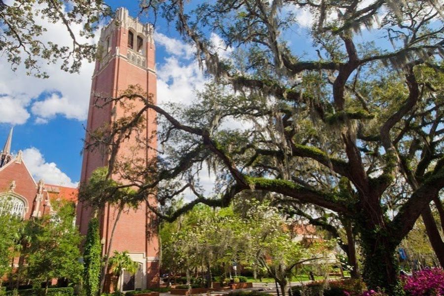 Top public. University in Florida.