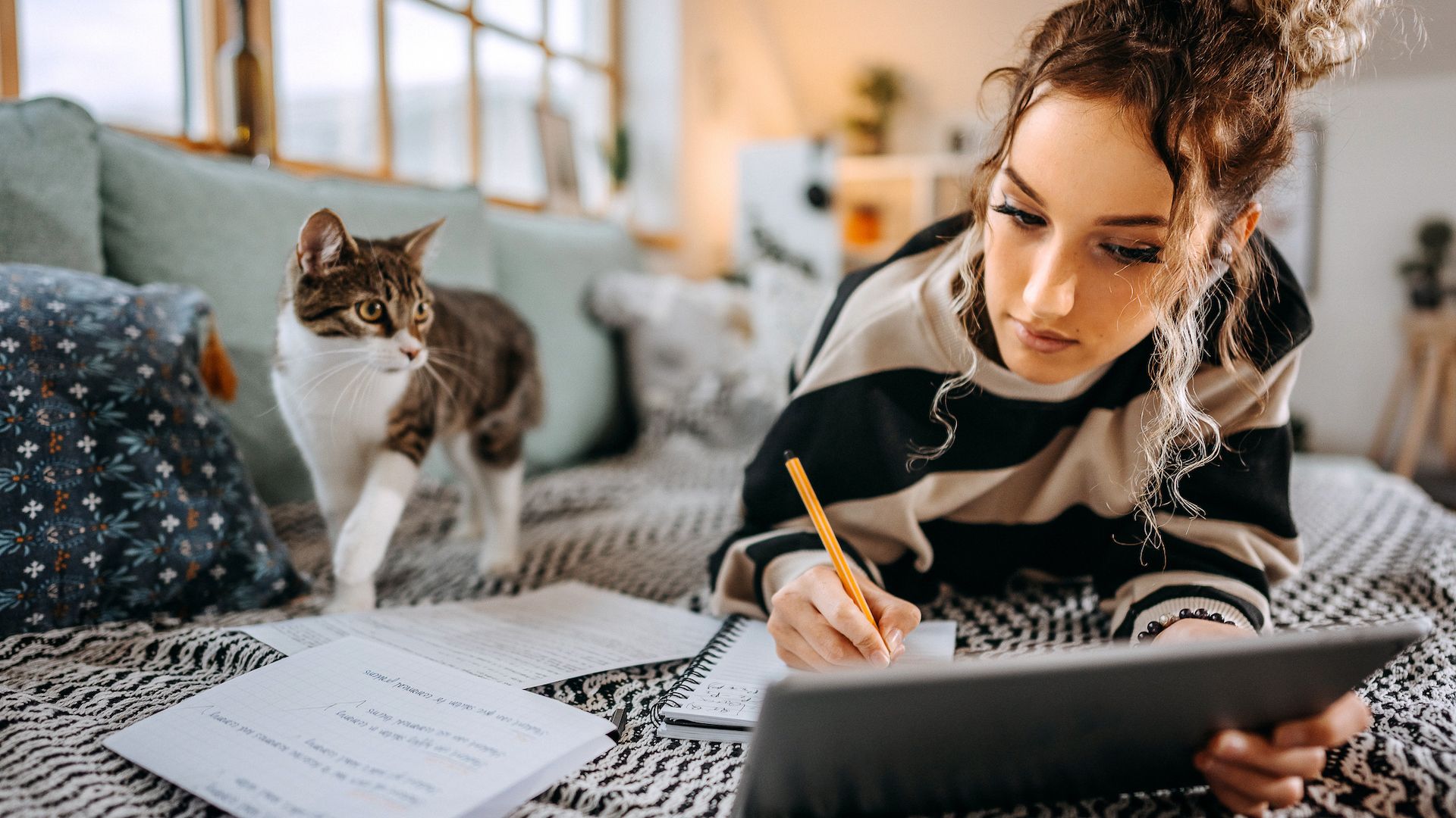 <p>                     A study carried out at Carroll University, Wisconsin, found that cat owners were more intelligent than dog owners! Whether the cat made them smarter, or smart people get cats, who knows?                   </p>