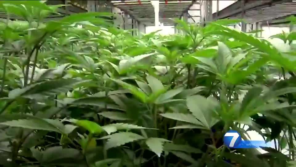 Recreational Marijuana Will Soon Be Legal In Ohio; What To Expect