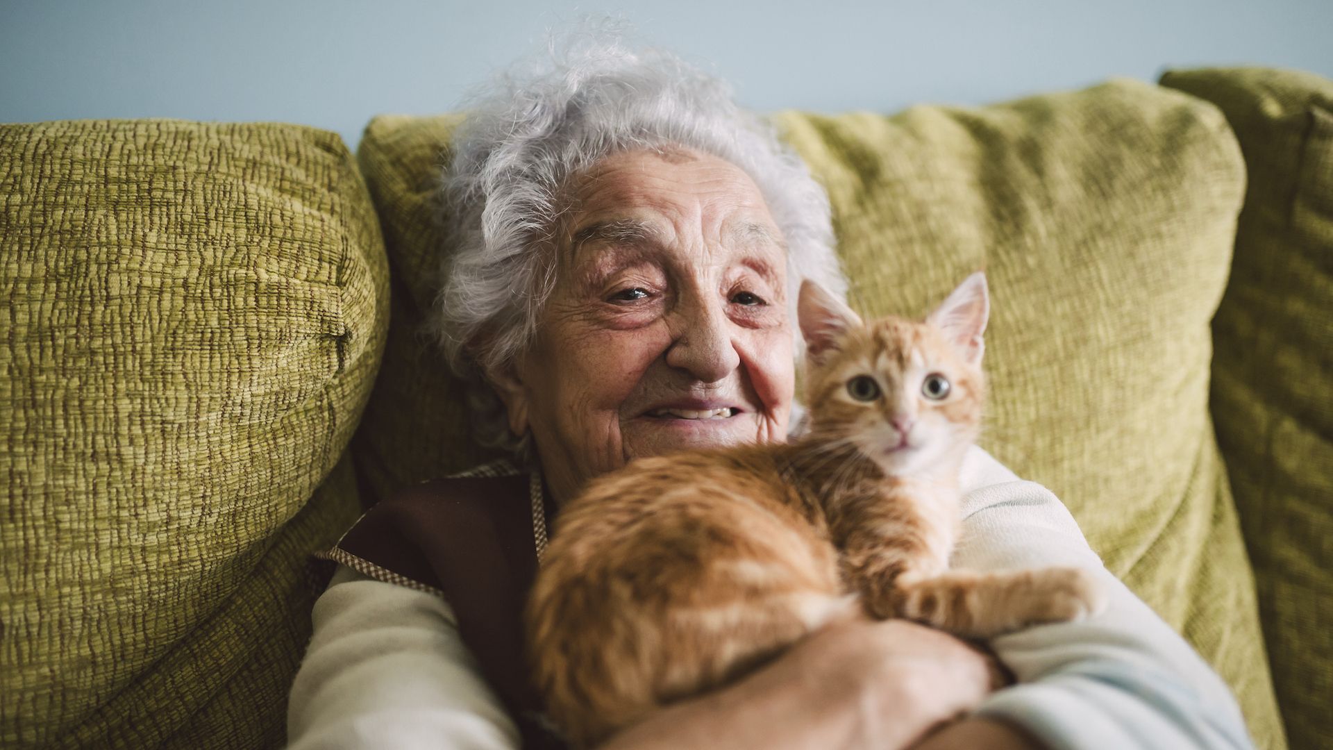 <p>                     Compared to many domestic pets, such as hamsters, guinea pigs and rabbits, at an average of 13-14 years, cats live for a decent chunk of a human life, and some even last until they are 20. The oldest recorded cat, Creme Puff, died at the age of 38.                    </p>