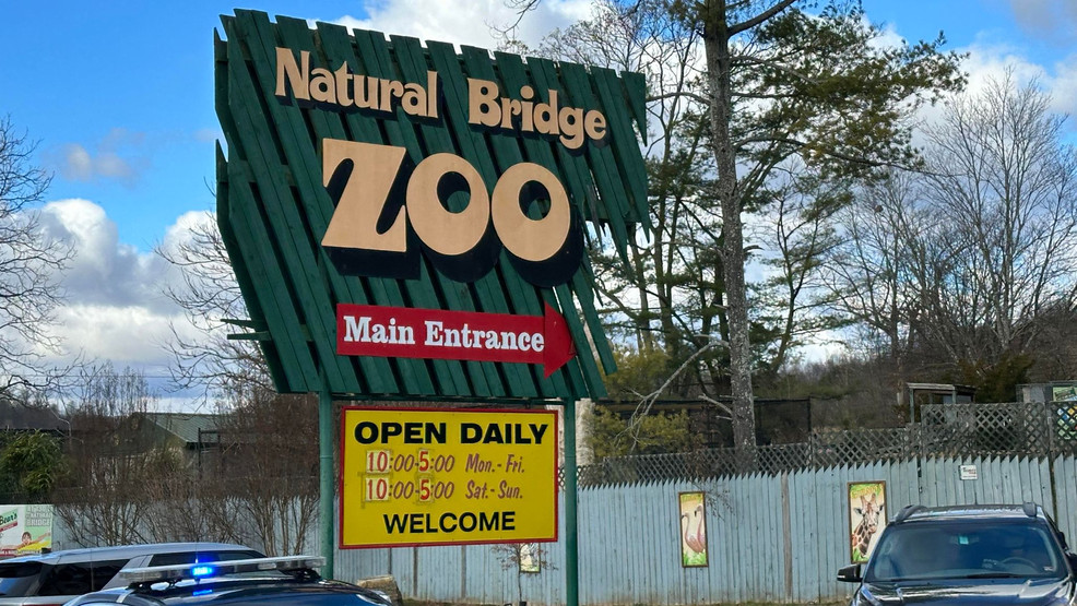 Volunteer Says Natural Bridge Zoo Investigation Is Baseless   AA1l73C7.img