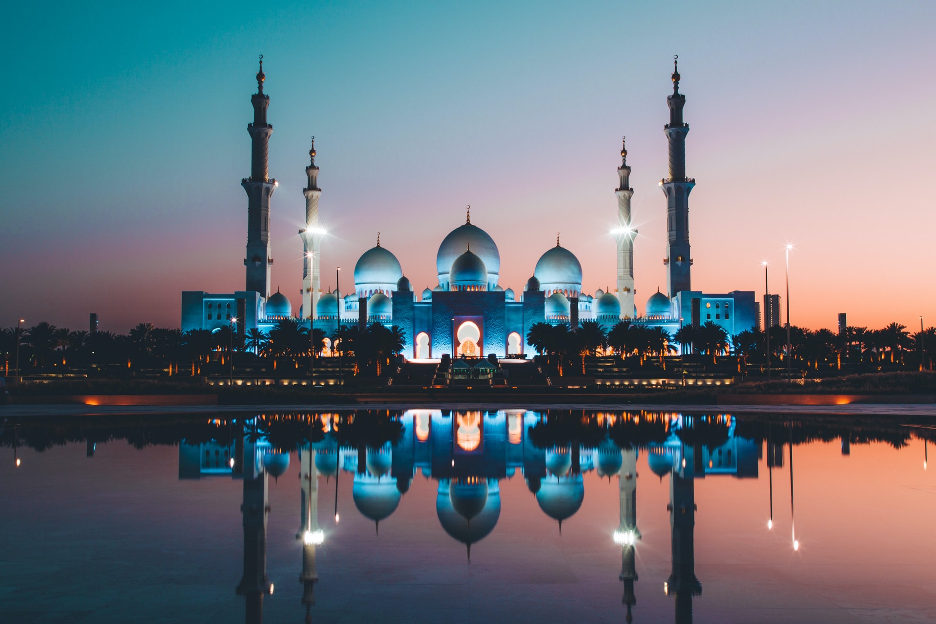 <p>A guided tour through Dubai will allow you to discover the Blue Mosque with its 12 domes, Palm Island, and the Burj Al Arab; you will also take an aquatic taxi to visit the Gold and Spice bazaars.</p> <p>Image: Unsplash - David Rodrigo</p>