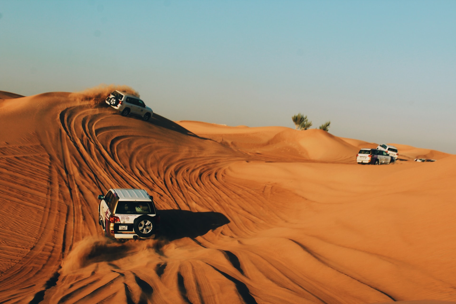 <p>In Dubai, the top recommendations are sand surfing (going down in the dunes in a table, a quad, or a jeep) a tour in camel, and a BBQ at the Al Khayma camp. The full desert experience.</p> <p>Image: Unsplash - Alina Grubnyak</p>