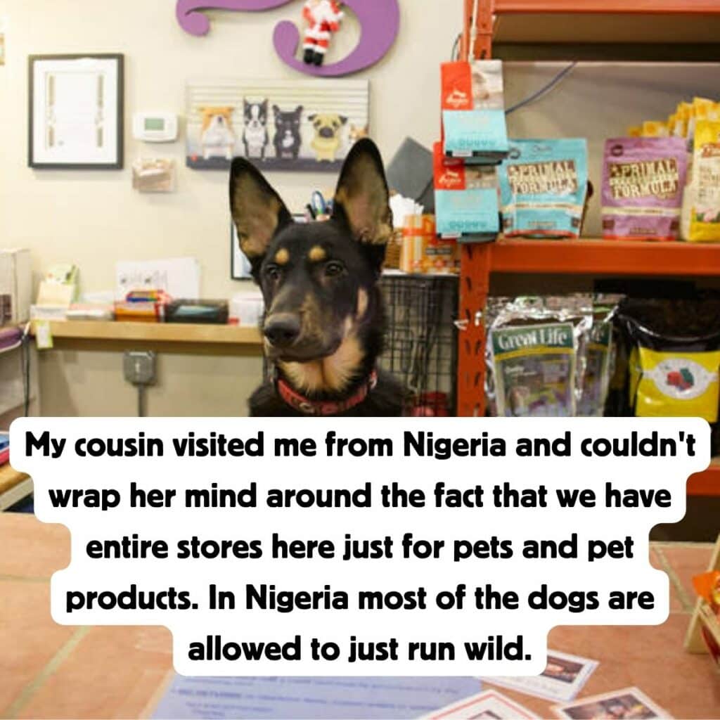 28 Times People Visited the U.S. Had a Culture Shock Experience