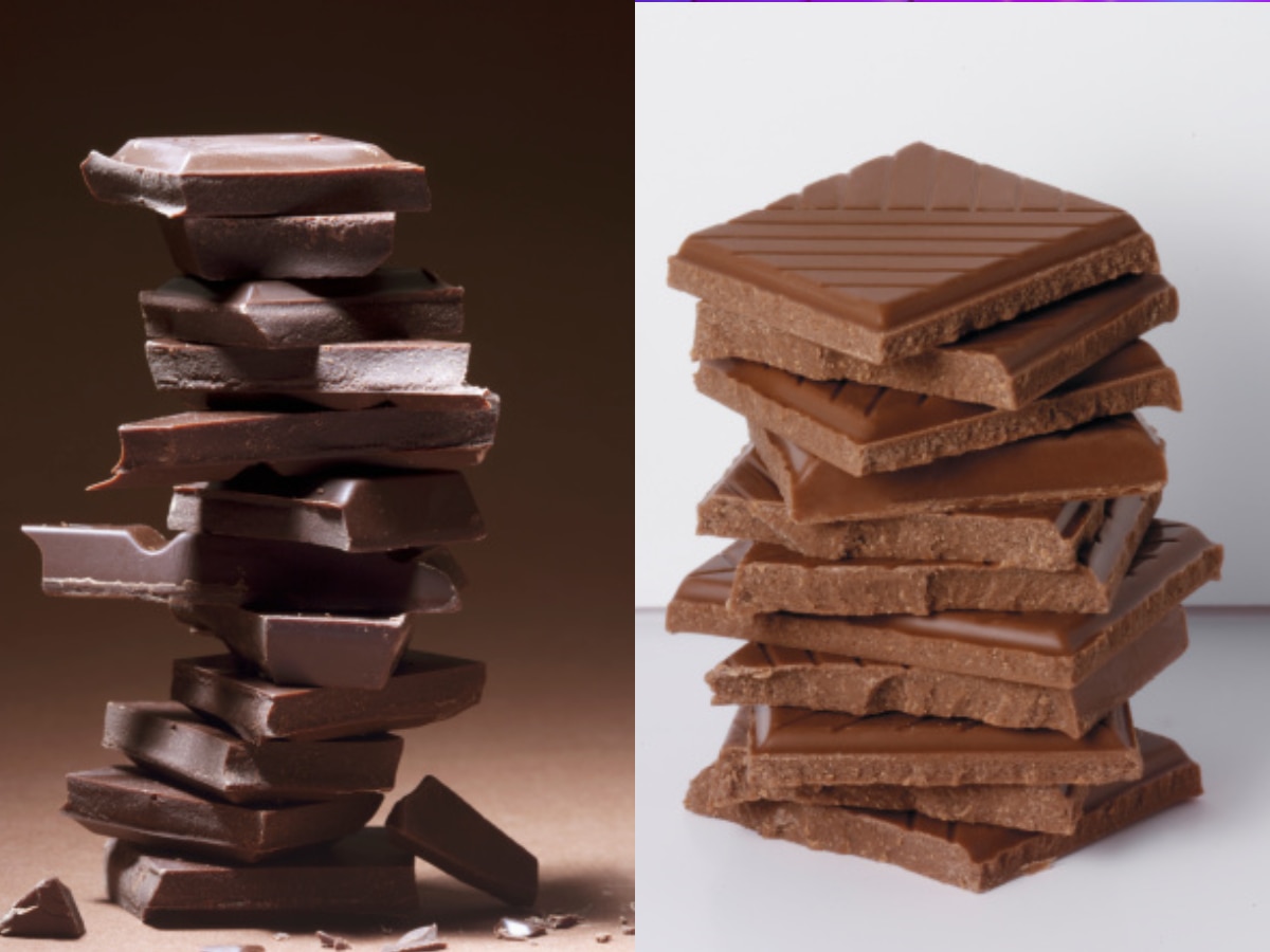 Dark Chocolate Vs Milk Chocolate: Which One Is Healthier For Kids