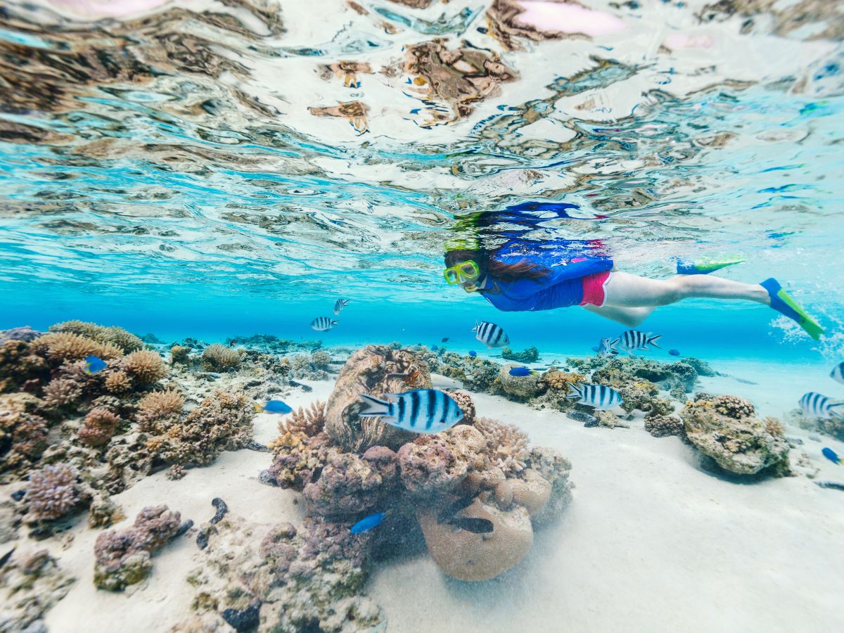 A young girl snorkels in clear, turquoise Caribbean waters, surrounded by a kaleidoscope of tropical fish.