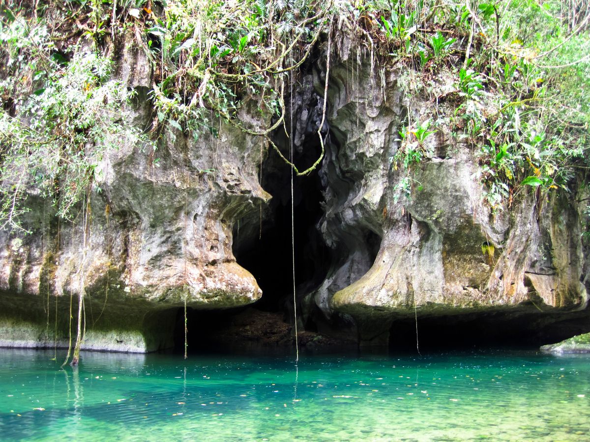<p>\This delightful adventure offers the chance to immerse yourself in the rainforest and the captivating beauty of natural cave formations. </p>