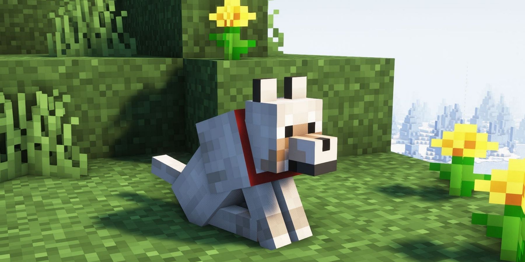 Minecraft S New Wolf Armor Is Getting Mixed Responses   AA1lDfu7.img