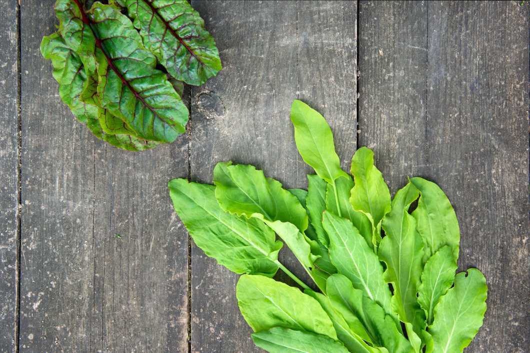 microsoft, nutrition professionals share how much sorrel you should eat for optimal health.