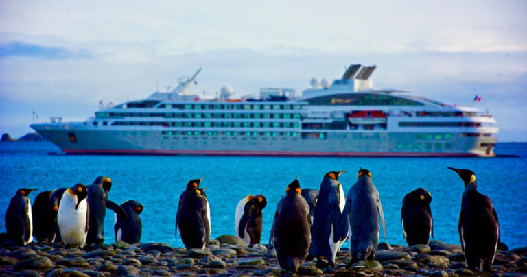 Antarctica Cruises: Why Go (And How Much It Costs)