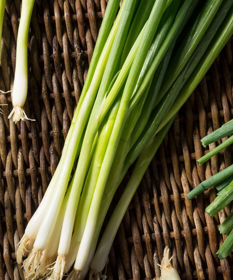How to grow green onions sow these simple vegetables every few weeks