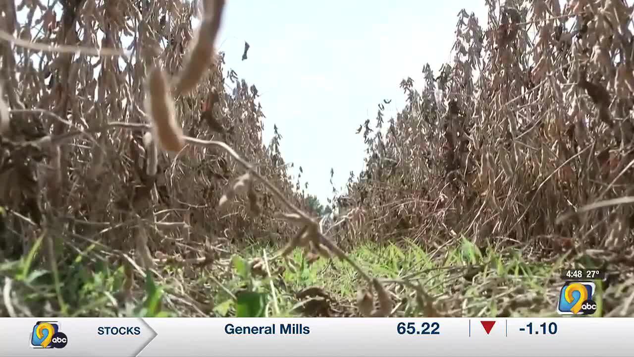 Iowa Farmers Still In Need Of More Rain Amid Ongoing Drought