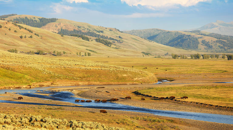 Yellowstone National Park: What To Do If You Only Have One Day