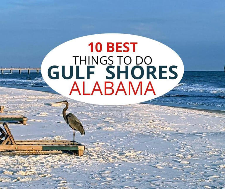 10 Best Things to Do Gulf Shores Alabama, heron on white sand beach