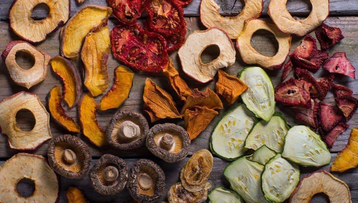 The 11 Best Food Dehydrators For Camping In 2024   AA1lH0iH.img