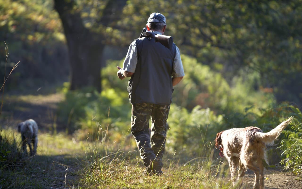 Haute Saône Un Chien De Chasse Contaminé Par Une Pseudo Rage Meurt Un Appel à La Prudence Lancé 1452