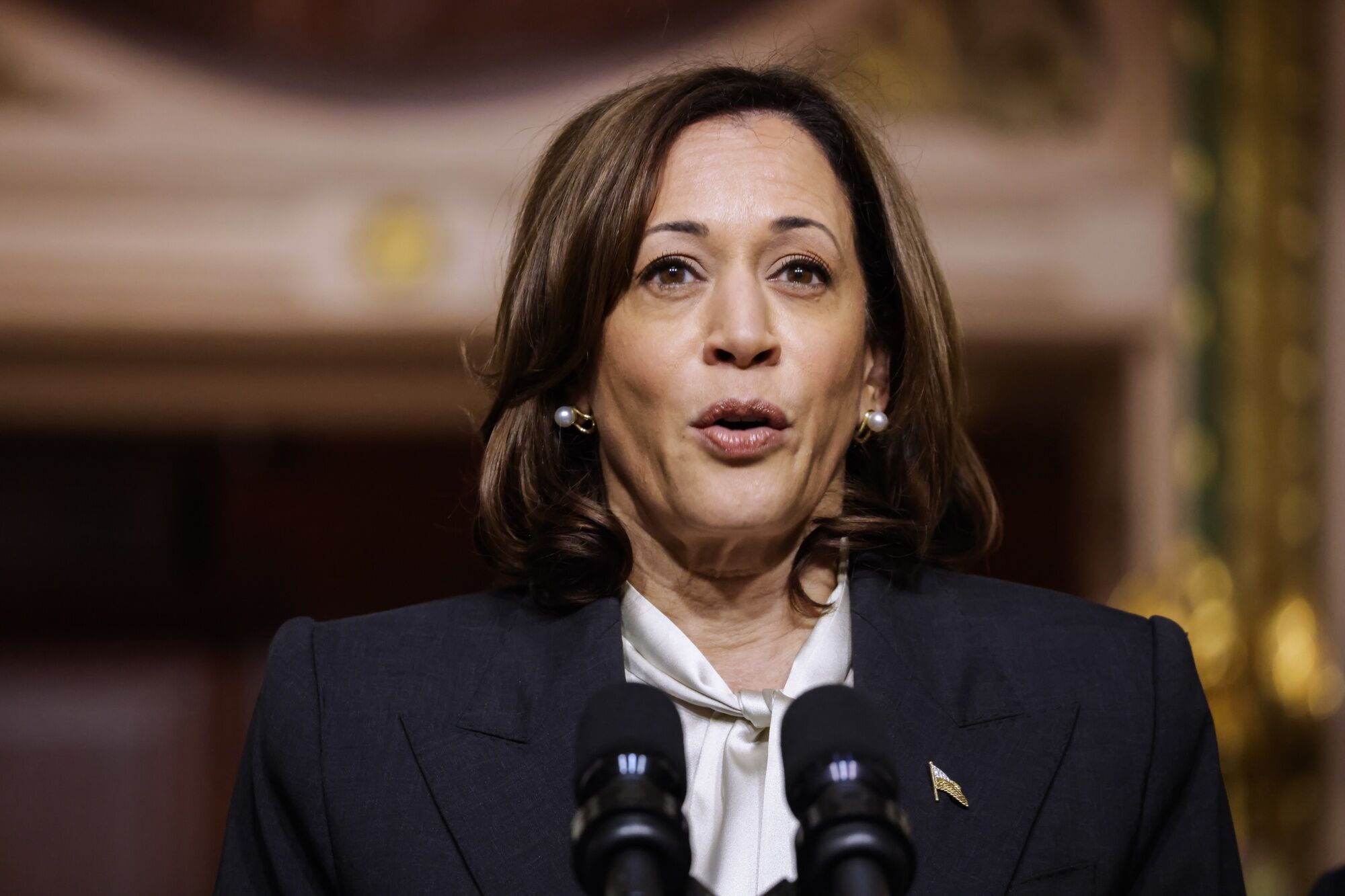 Kamala Harris Kicks Off 2024 With Abortion Rights Tour On Roe Anniversary