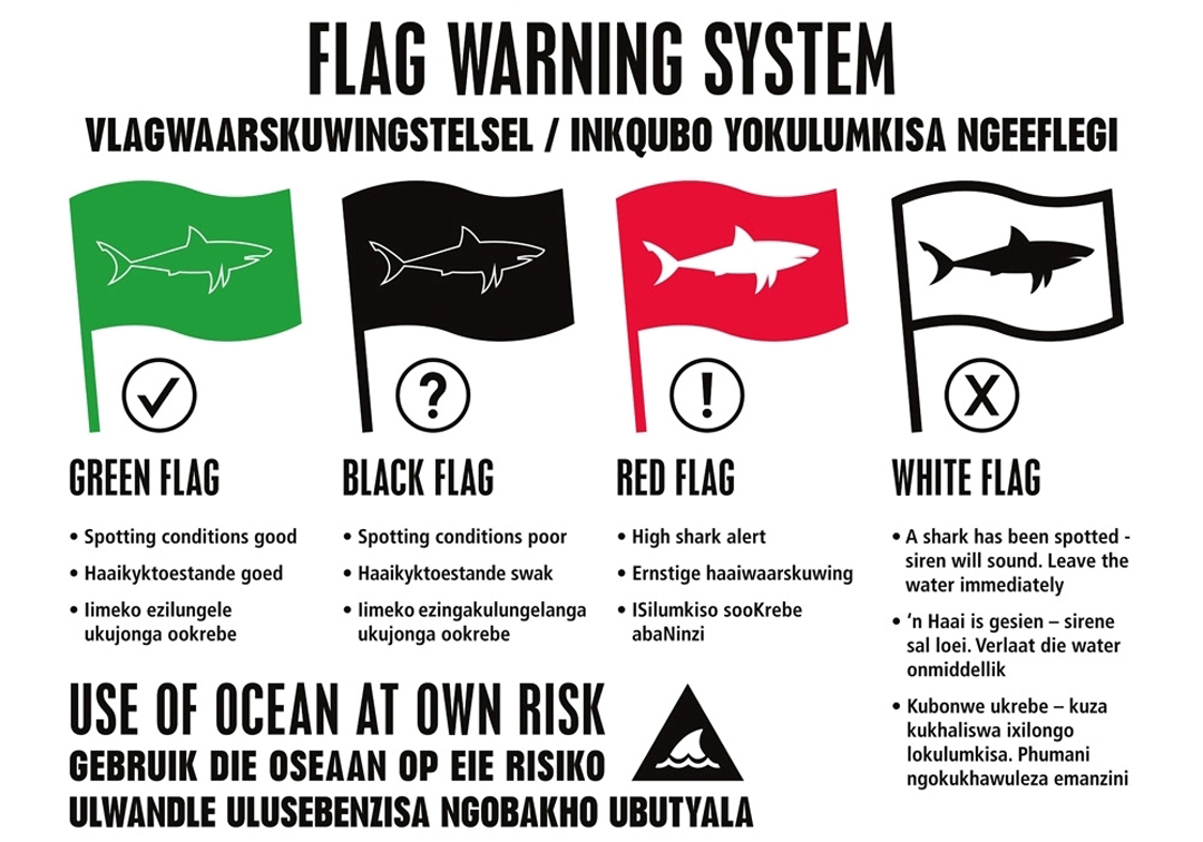 Flag system. Черный флаг на пляже что означает. Что значит черный флаг. Что означает Флан на пляже. Флаг use.