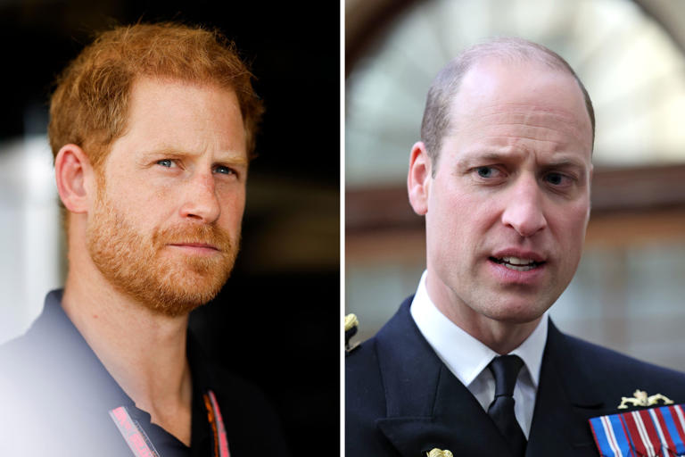 Prince Harry is seen at the F1 Grand Prix, in Austin, Texas, on October 22, 2023, while Prince William is seen at The Lord High Admiral's Divisions at Britannia Royal Naval College on December 14, 2023. William once scolded Harry over his drug use, a court heard.