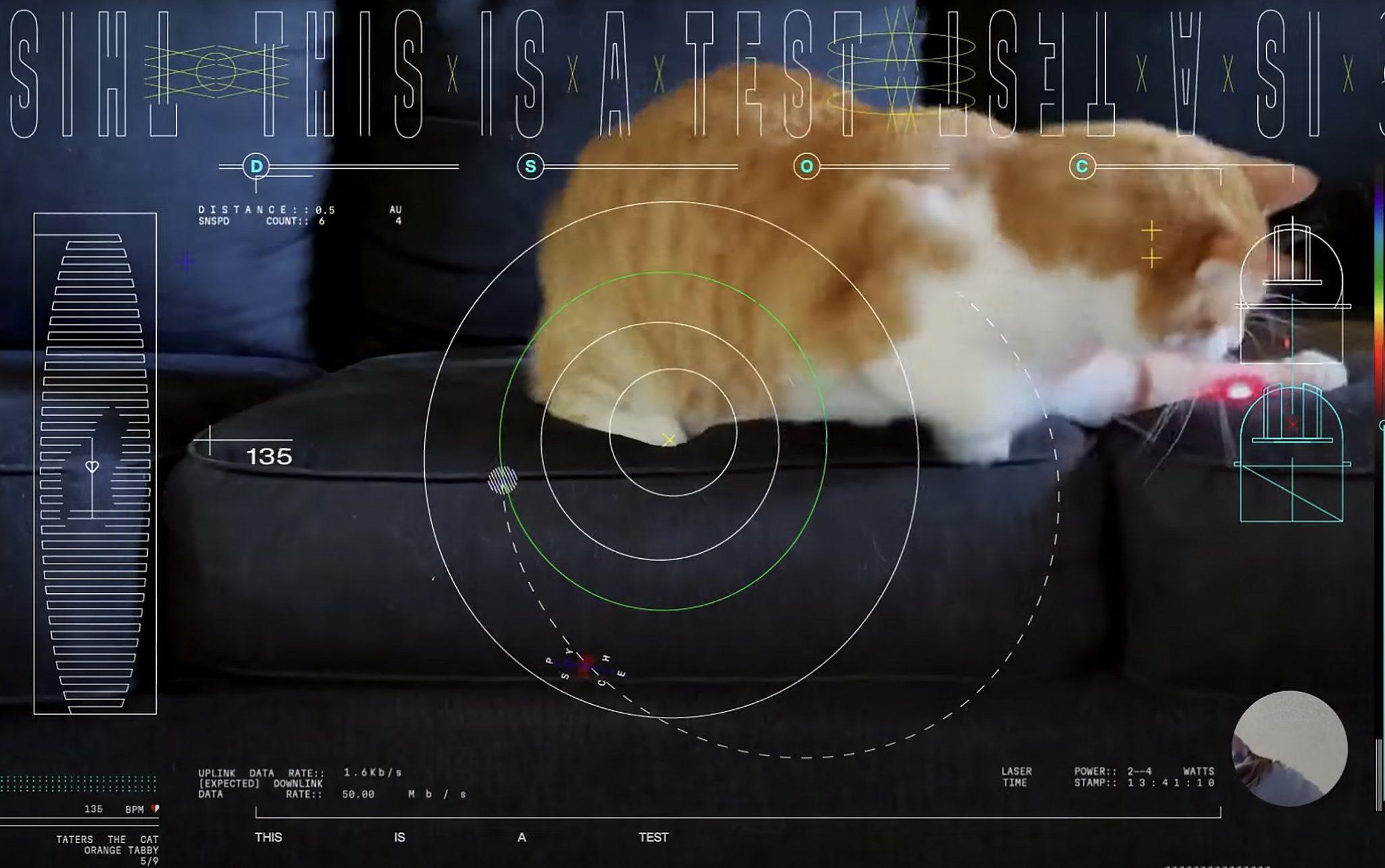 In Space They Can Hear You Meow: Nasa Streams Cat Video From Craft 19 ...