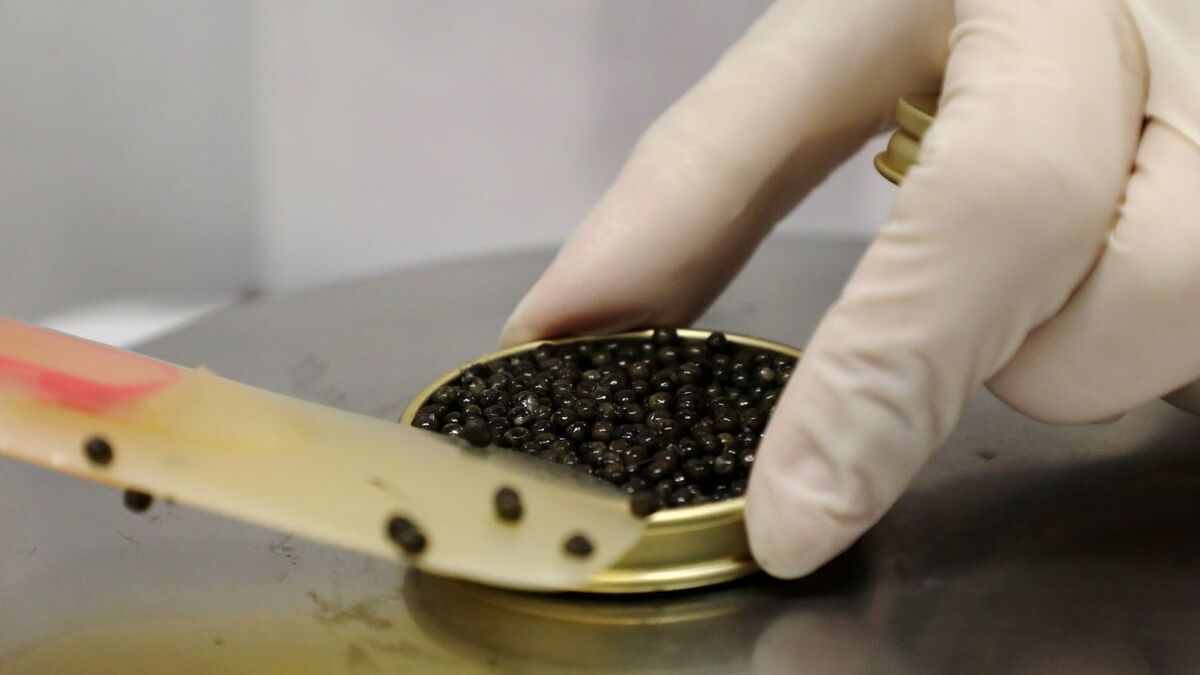 toulouse : 35 000 euros de caviar détruits avant les fêtes après la découverte d’infractions
