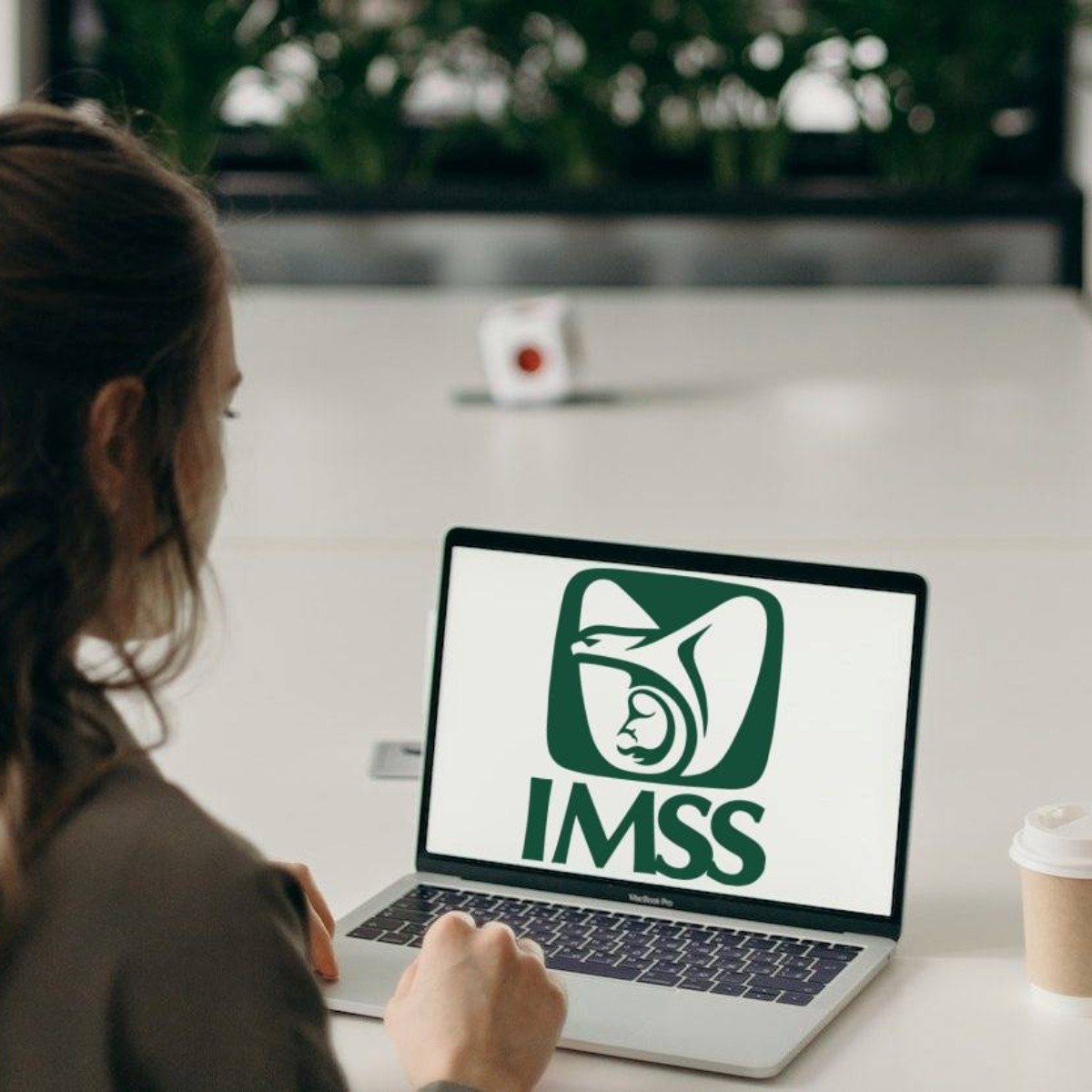 ¿Cómo Se Obtiene Una Incapacidad Del IMSS? Guía Paso A Paso