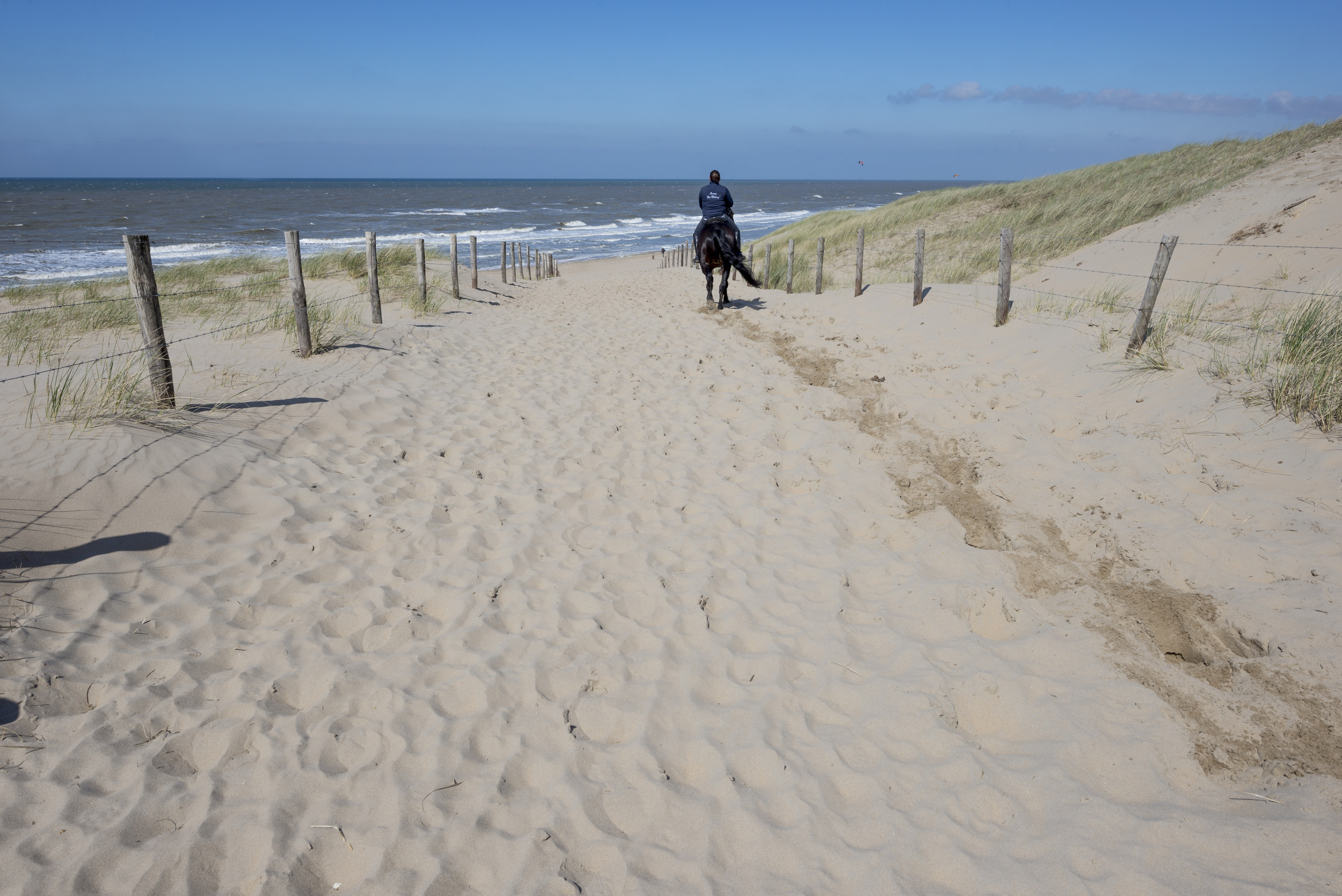 <p>The province of Zeeland in the south of the country is a well-kept secret European beach destination. One of the best ways to explore it is on the back of a horse. And luckily, the shores of the Atlantic are home to numerous barns that offer riding tours of the area.</p><p><a href='https://www.msn.com/en-us/community/channel/vid-cj9pqbr0vn9in2b6ddcd8sfgpfq6x6utp44fssrv6mc2gtybw0us'>Follow us on MSN to see more of our exclusive lifestyle content.</a></p>