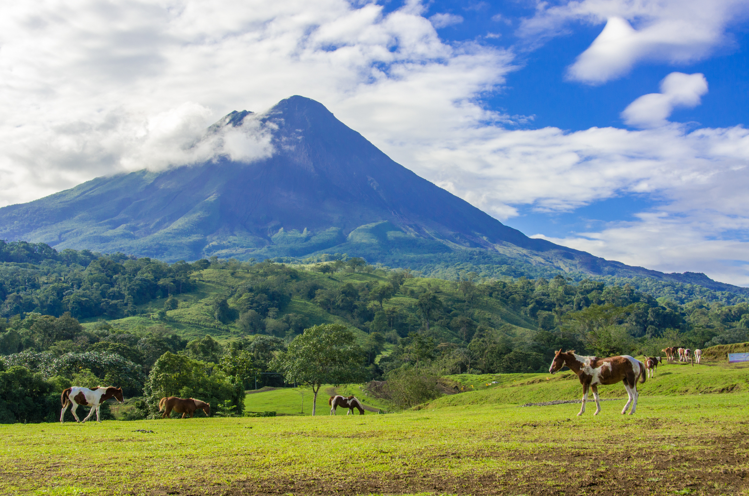 <p>Costa Rica has no shortage of amazing scenery; from volcanoes to endless beaches and staggering mountains, there’s something for everyone here. And one of the best ways to see it all is on a trail ride. Numerous ranches offer day and overnight experiences throughout the country.</p><p><a href='https://www.msn.com/en-us/community/channel/vid-cj9pqbr0vn9in2b6ddcd8sfgpfq6x6utp44fssrv6mc2gtybw0us'>Follow us on MSN to see more of our exclusive lifestyle content.</a></p>