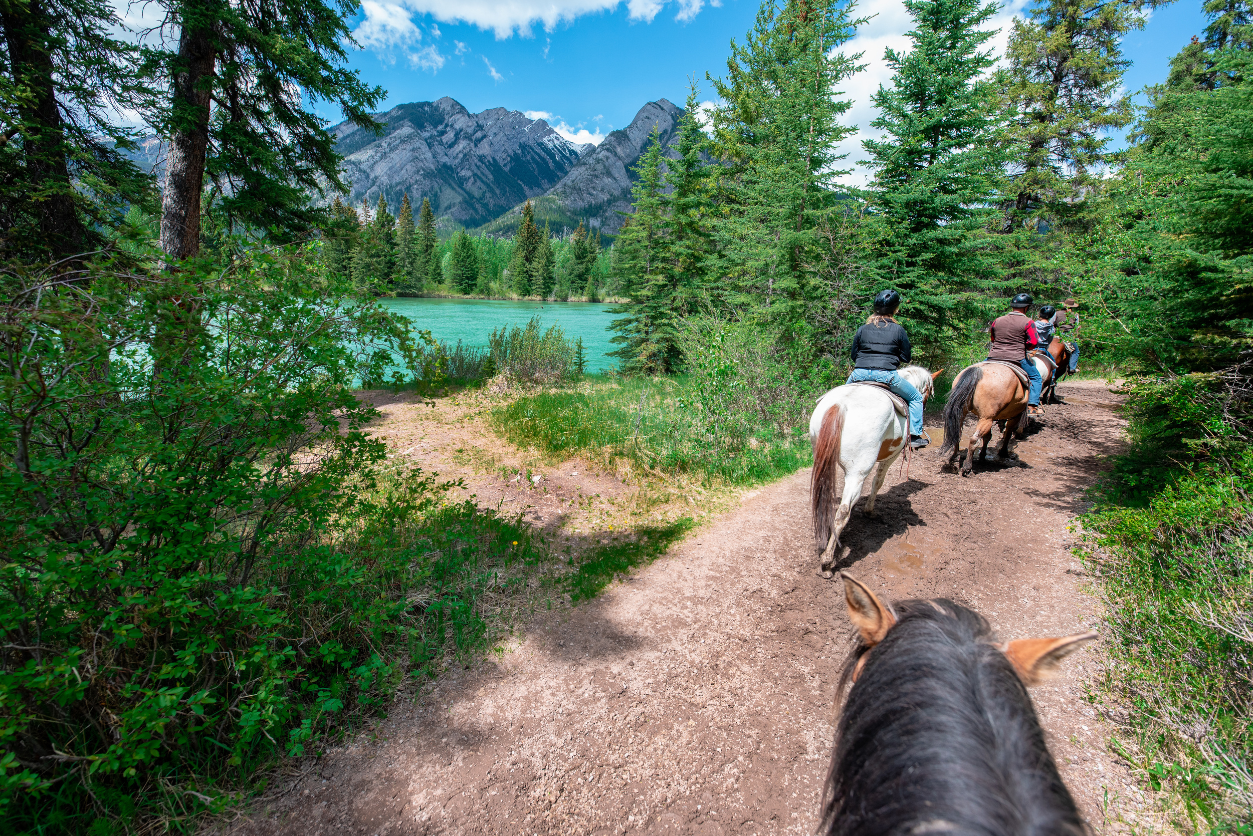 <p>Most people hike or ski in Canada’s world-class mountains. But if you’re up for something a bit different, numerous Alberta and British Columbia ranches offer amazing vacation packages. You can take a quick trail ride, overnight camp, or even have the full farm experience and stay a week on site!</p><p>You may also like: <a href='https://www.yardbarker.com/lifestyle/articles/18_things_you_think_are_normal_but_are_actually_uniquely_american_121923/s1__39111167'>18 things you think are normal but are actually uniquely American</a></p>